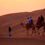 Evening Desert Safari