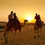 Morning Desert Safari