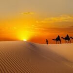 Sunrise Desert Safari