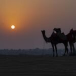 Sunset Desert Safari