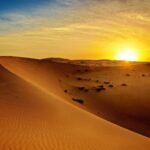 Sunset Desert Safari